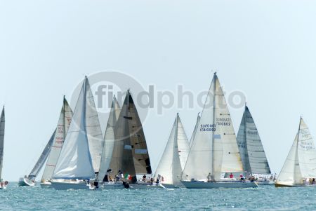 dettaglio immagine DSC_2669