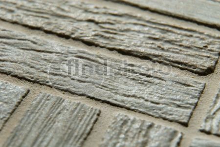 dettaglio immagine DSC_9102