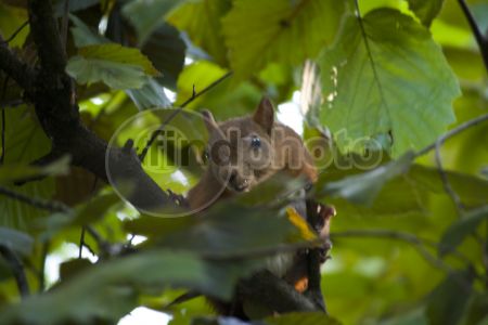 dettaglio immagine IMG_5065_2