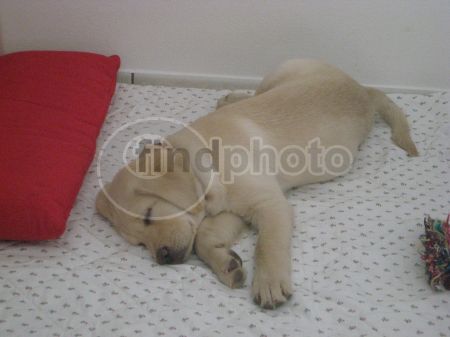 dettaglio immagine IMG_1493