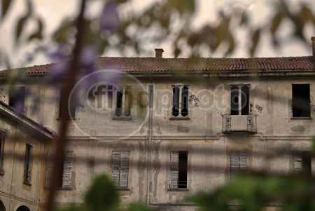 dettaglio immagine DSC_0110