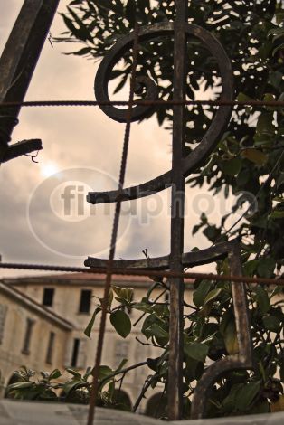 dettaglio immagine DSC_0112