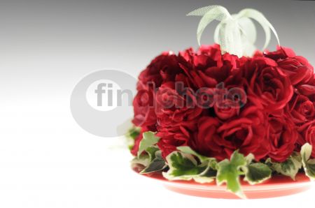 dettaglio immagine _DSC0279