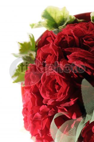 dettaglio immagine _DSC0258