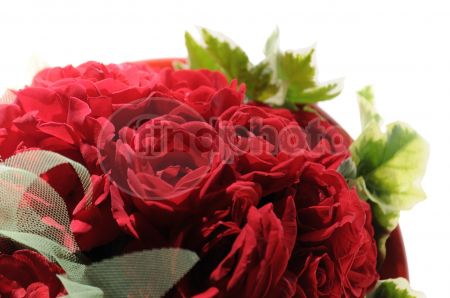 dettaglio immagine _DSC0259