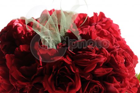 dettaglio immagine _DSC0245