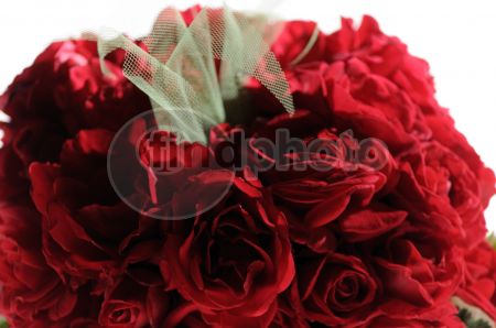 dettaglio immagine _DSC0246