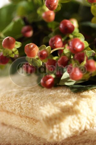 dettaglio immagine 0029