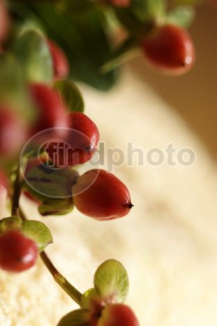 dettaglio immagine 0030