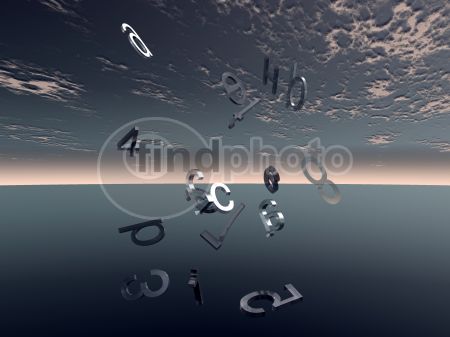 dettaglio immagine BlackNumberFly1