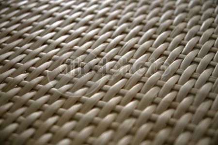 dettaglio immagine DSC_6774