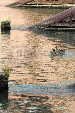 dettaglio immagine DSC_1778 Il ponte di Bassano del Grappa (Vicenza)