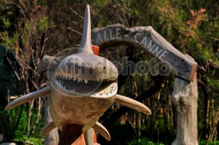 dettaglio immagine NKN_3111 Fosso alle Canne (Livorno)