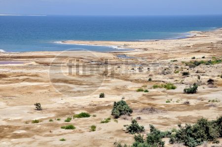 dettaglio immagine NKN6981 Depressione del Mar Morto (Giordania)