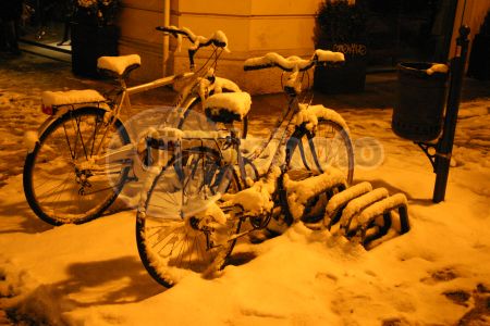 dettaglio immagine Biciclette