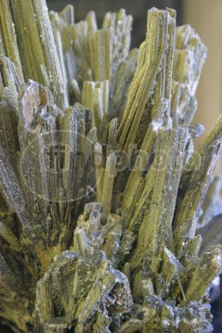 dettaglio immagine Cristallo