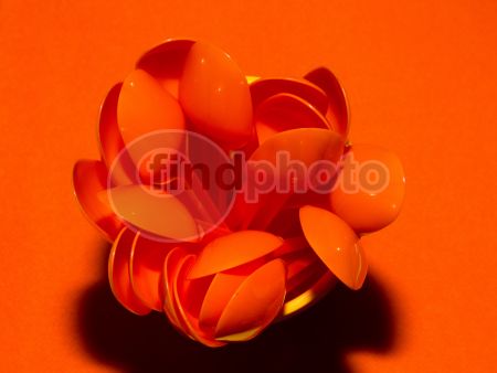 dettaglio immagine IMG_9938-200811