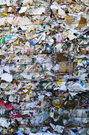 dettaglio immagine IMG_9695-110811