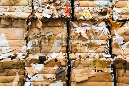 dettaglio immagine IMG_9697-110811