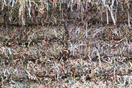 dettaglio immagine IMG_9700-110811